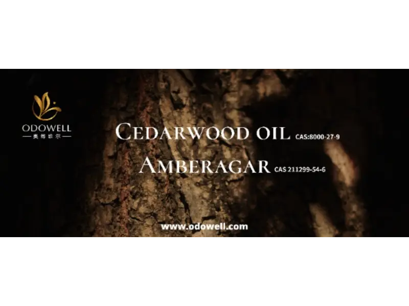 کیا آپ کے دستخط کی خوشبو واقعی انوکھی ہے؟