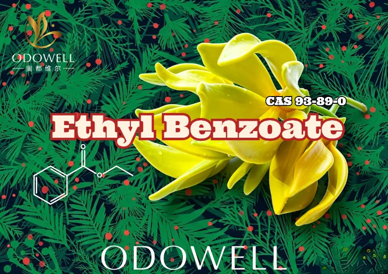ODOWELL نے Ethyl Benzoate کا آغاز کیا: پھولوں اور مشرقی خوبصورتی کے لیے گرم موسم سرما کے سبز-یلانگ ایسٹر