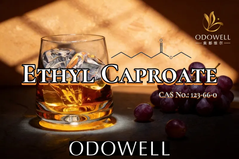 ODOWELL Fruity اور شراب کی طرح ذائقے کی ایپلی کیشنز کے لیے Ethyl Caproate کی سفارش کرتا ہے
