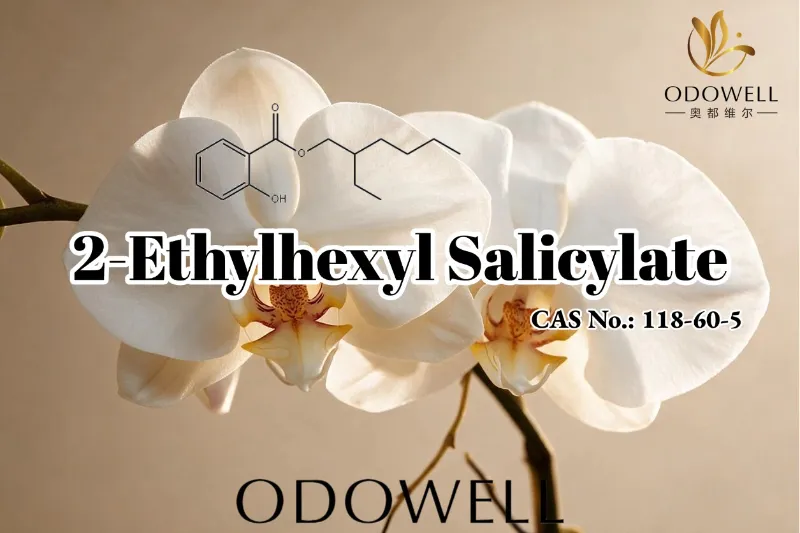 ODOWELL خوشبو، کاسمیٹکس، اور ذاتی نگہداشت کی درخواستوں کے لیے 2-Ethylhexyl Salicylate کی سفارش کرتا ہے۔