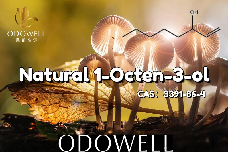 ODOWELL مشروم کی طرح اور زمینی ذائقے والے ایپلی کیشنز کے لیے قدرتی 1-Octen-3-ol کی سفارش کرتا ہے